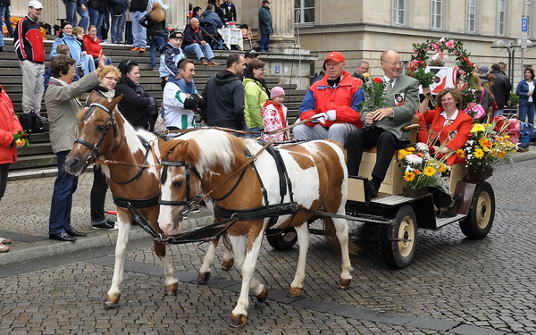 Schuetzen2011   475.jpg
